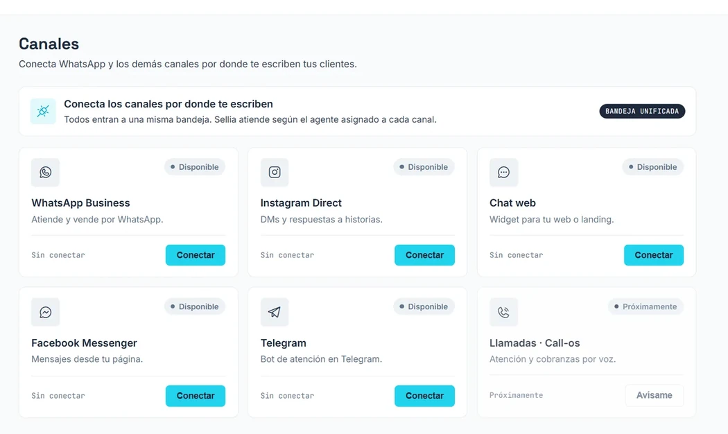 Pantalla Canales de knotAI con las tarjetas de WhatsApp Business, Instagram Direct, Chat web, Facebook Messenger, Telegram y Llamadas, cada una con su estado y su botón Conectar.