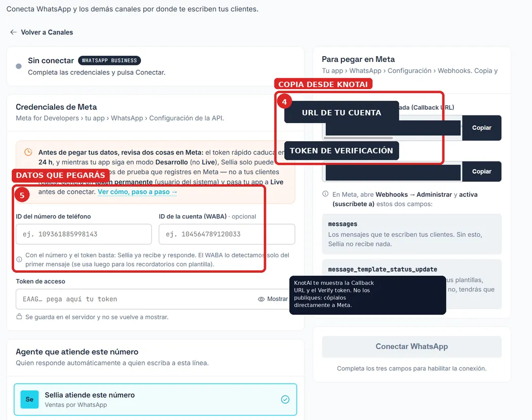 Pantalla Canales → WhatsApp de knotAI: a la izquierda las credenciales de Meta, a la derecha la tarjeta «Para pegar en Meta» con los botones Copiar de la Callback URL y el Verify token.