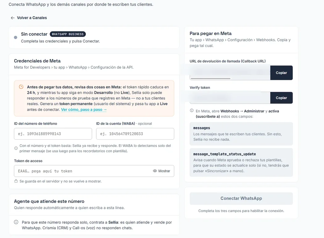 Pantalla de conexión de WhatsApp en knotAI: a la izquierda «Credenciales de Meta» con el ID del número, el ID de la cuenta y el token; a la derecha «Para pegar en Meta» con la Callback URL, el Verify token y los dos campos del webhook.